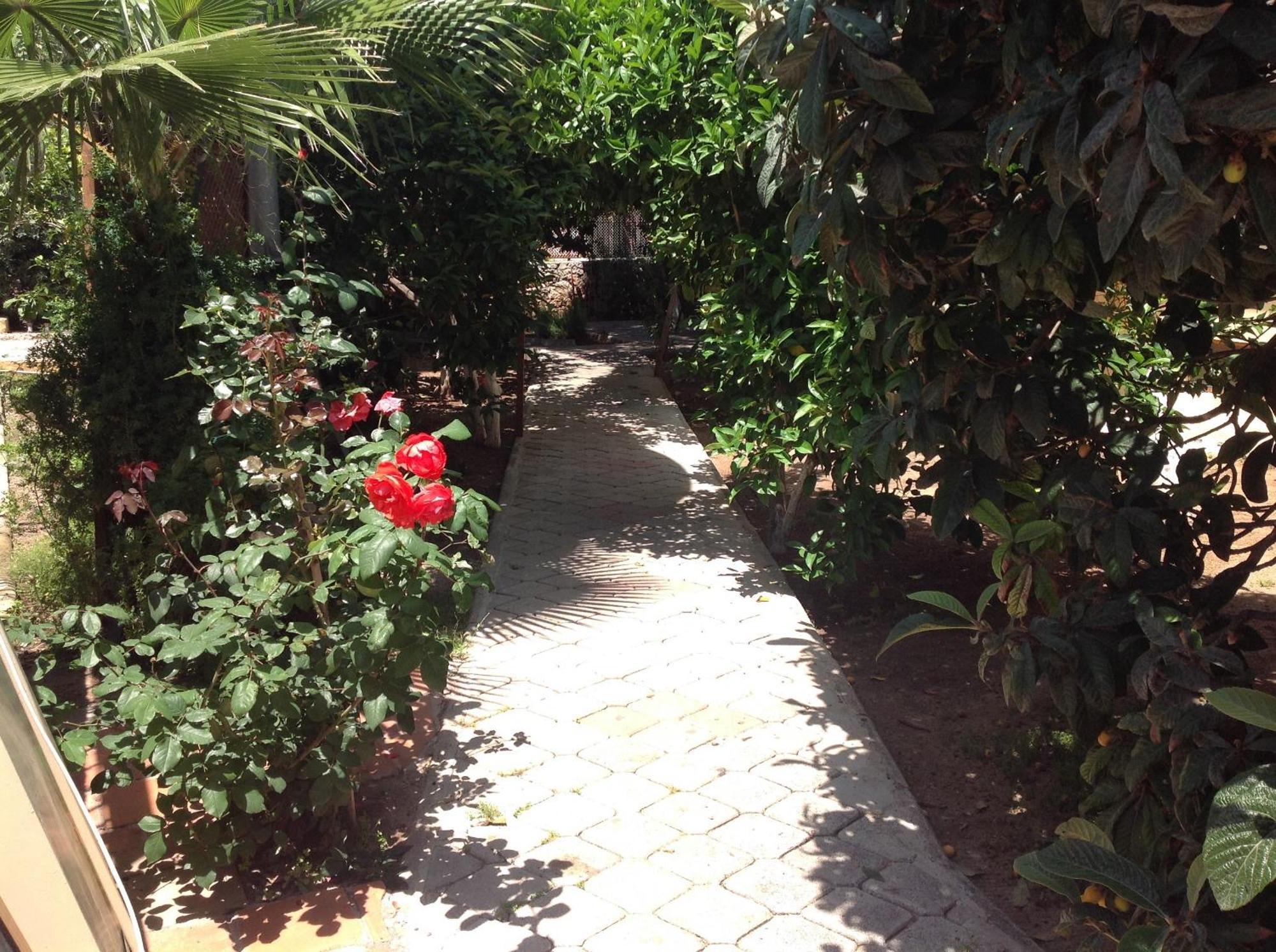 Ilkiz Beach Hotel Oludeniz Exterior foto