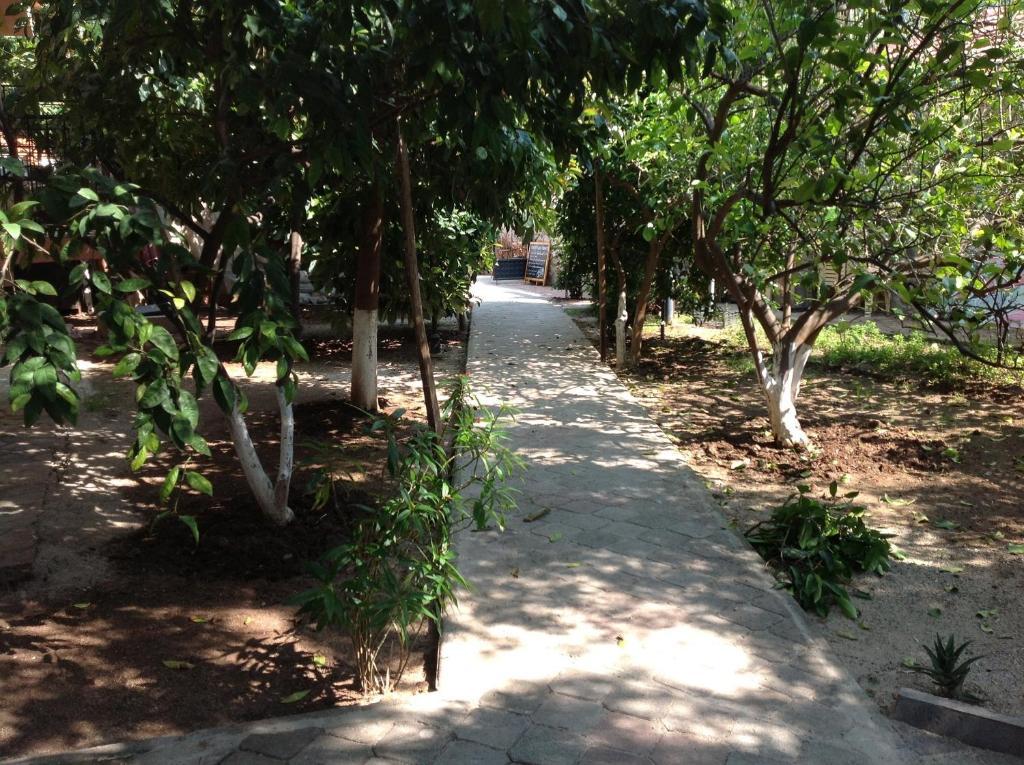 Ilkiz Beach Hotel Oludeniz Exterior foto